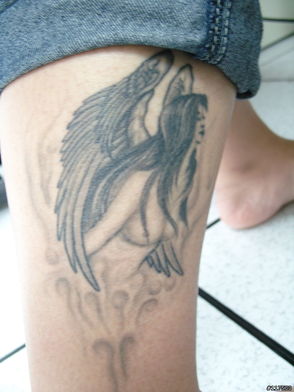 NV10再進化 - SAMSNUG NV11 開箱報告