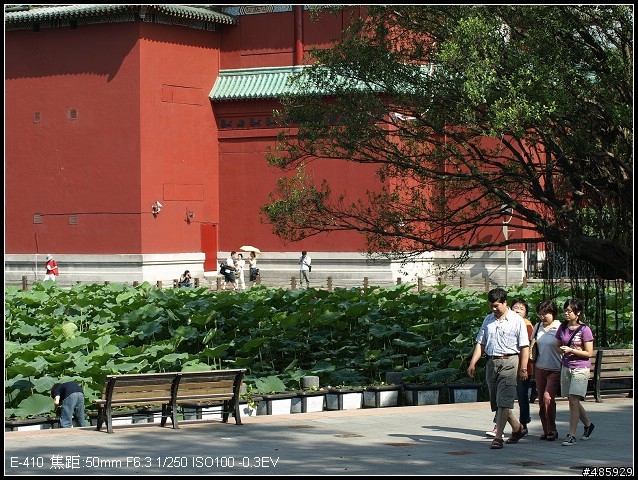 E-410+sigma 50-500 F4-6.3 的嘗試