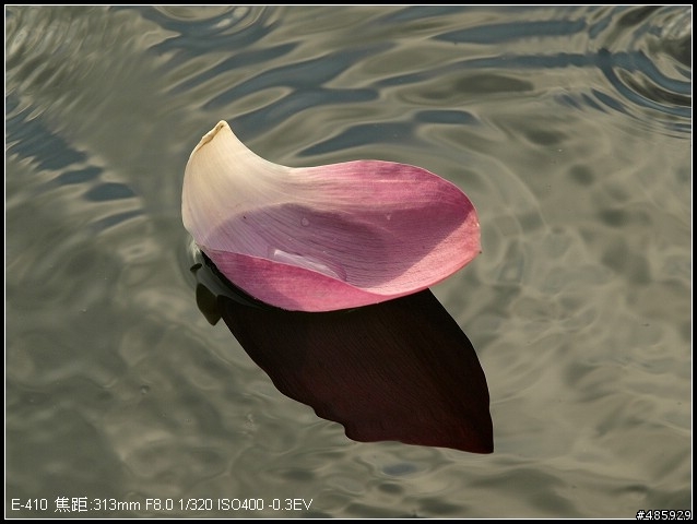E-410+sigma 50-500 F4-6.3 的嘗試