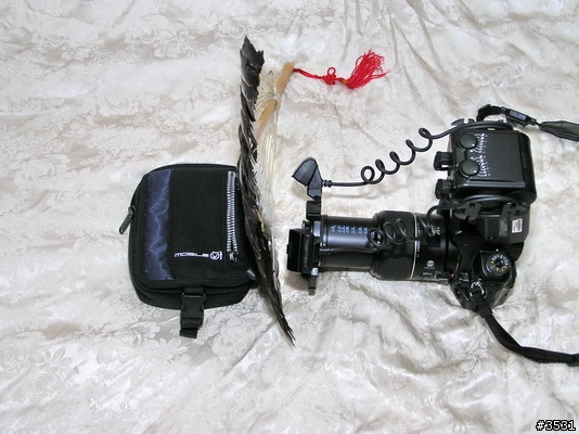 [測試分享]Sony 微距雙頭閃燈 HVL-MT24AM 及 Raynox CM-3500 微距探索鏡組