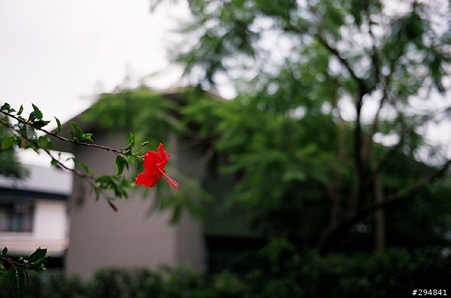 中央大學試鏡
