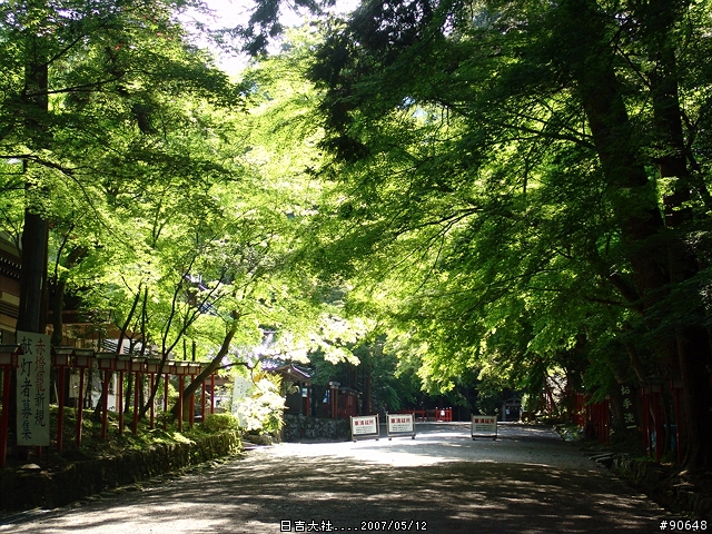 [京都]青綠之日吉大社