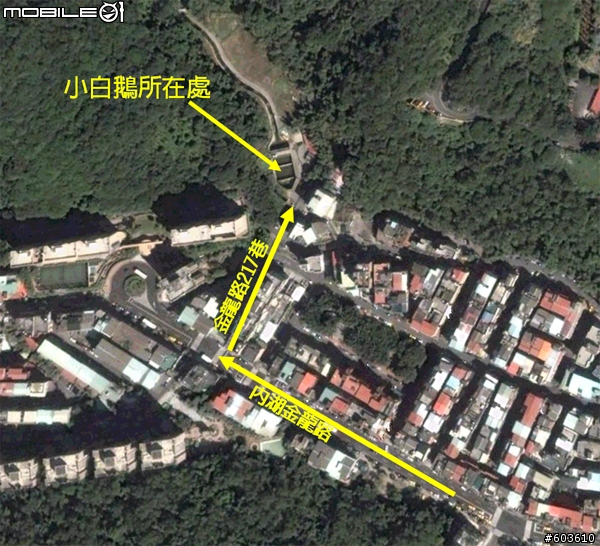 [拯救]小白鵝