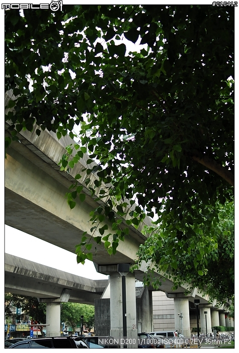 蔡斯zf 35mm f2數位版分享文(貼圖區)