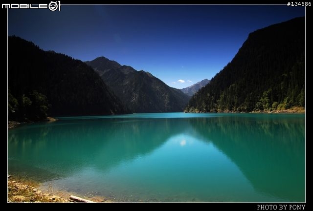 NIKON CANON有圖有真相