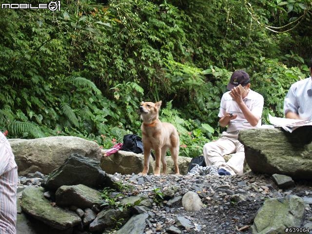 [旅程分享] 烏來內洞遊樂區探險(圖多請注意)