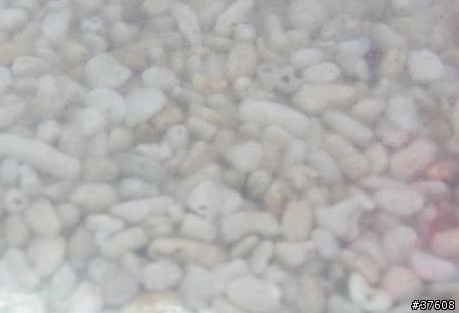 [水族]想養魚嗎? 菜鳥新手入門-器材篇.