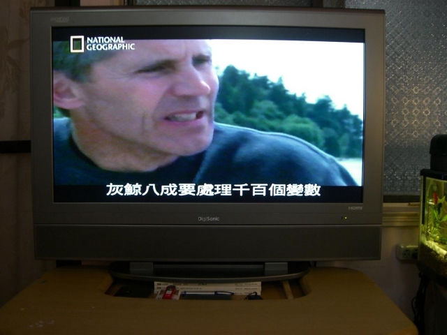 聯碩 Digisonic 37吋LCD  DIS-37