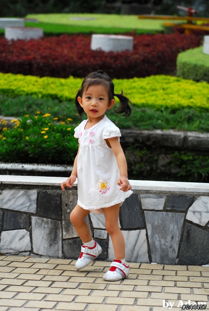 [開箱分享]Nikon Ai AF Micro Nikkor 60mm F2.8D