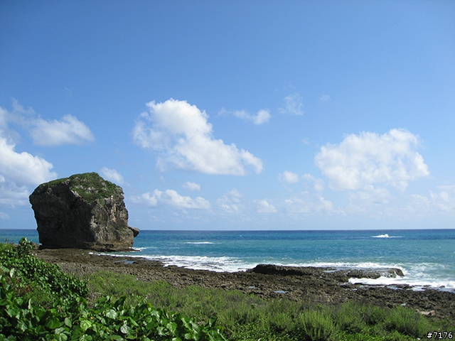 [分享]令我愛不釋手的 Canon IXUS 950 IS (（完整測試，新增夜景！）)