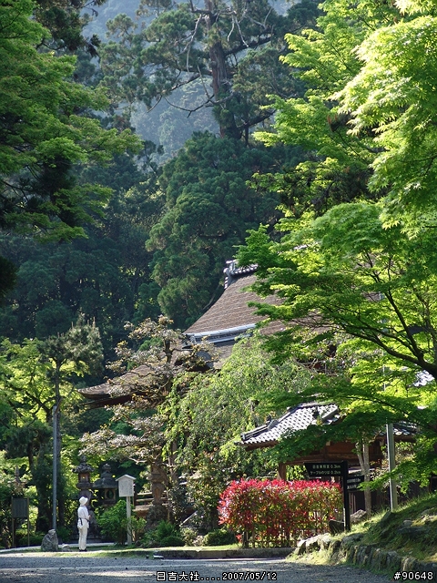 [京都]青綠之日吉大社