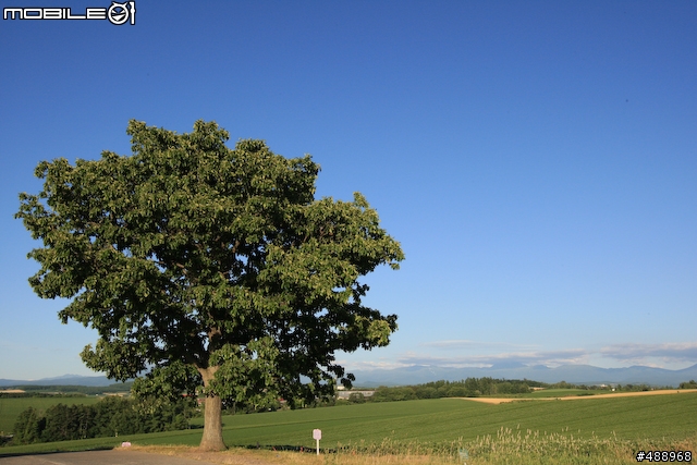 【分享】Canon 16-35mm F2.8 II 實拍