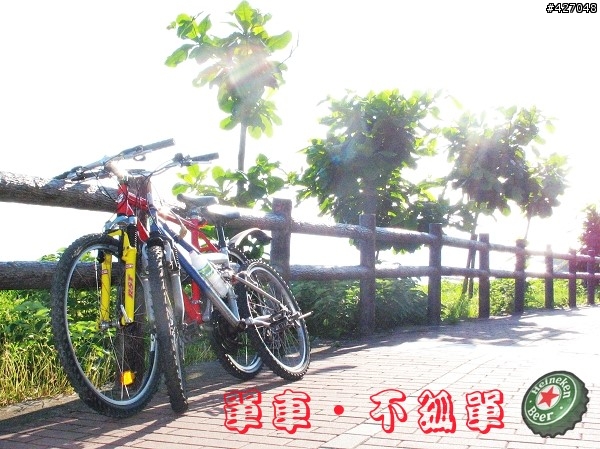 單車‧不孤單