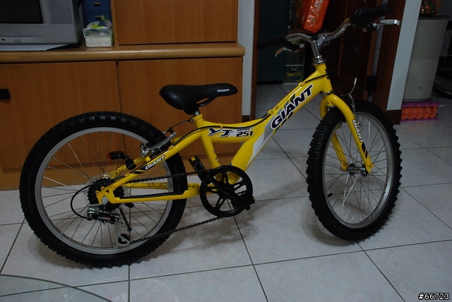 [分享]New 08" IGUANA+YJ251