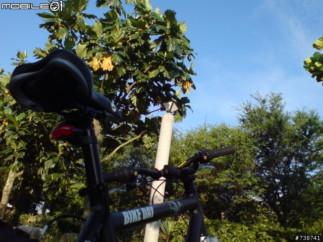 【台中都會公園】７／２１大熱天一個人的BIKE DAY