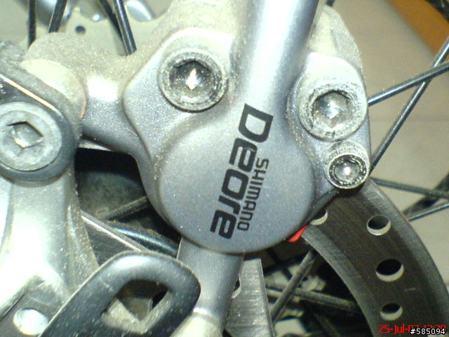 大安區附近活動的單車朋友