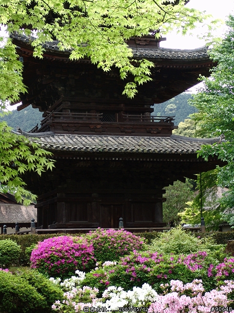 [京都]青綠之日吉大社