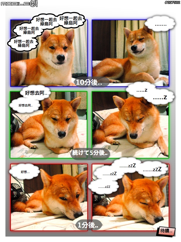 [D80長期分享][2007.08.13更新]新手分享購入及使用心得