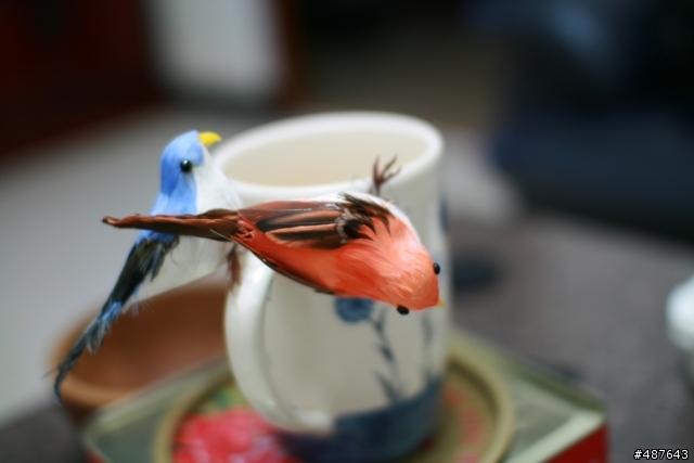Sigma 30mm F1.4