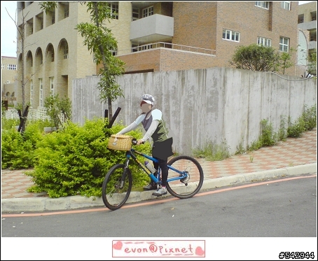 【分享】 單車用品系列三  BASIL 野餐藤籃