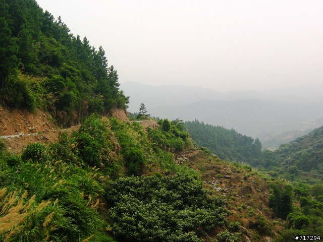 三度犁田