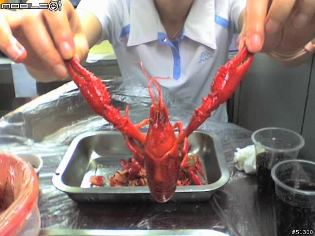 小龍蝦到底能不能吃啊？