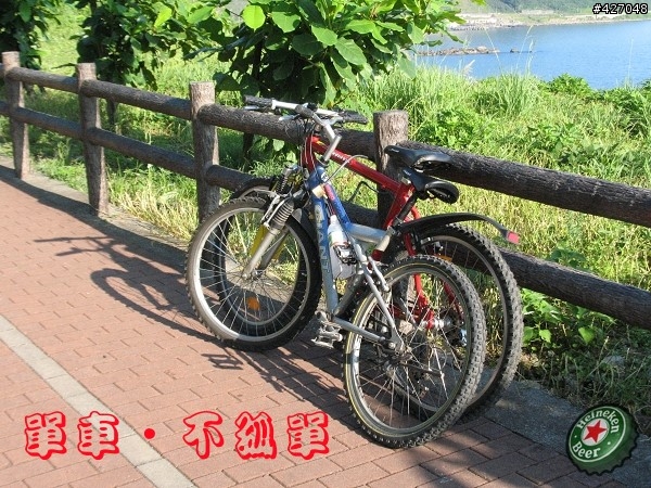 單車‧不孤單