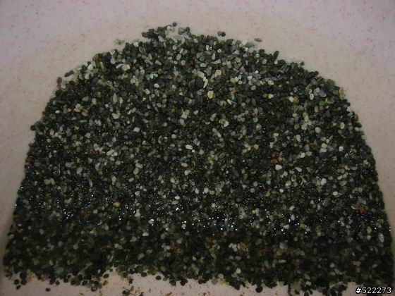 [水族] 孔雀魚養成不負責經驗分享！