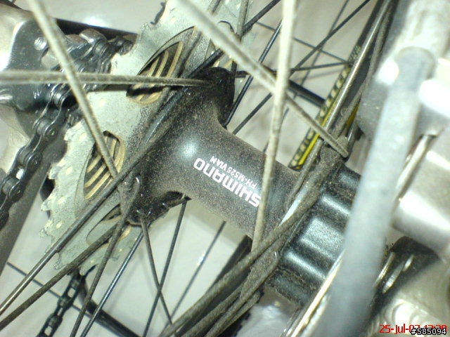 大安區附近活動的單車朋友