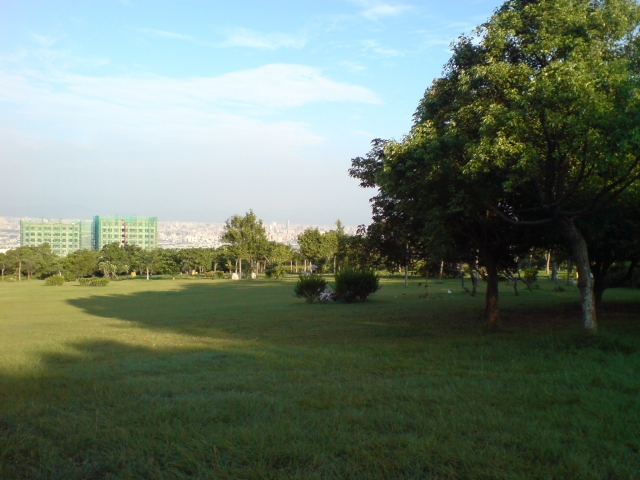【台中都會公園】７／２１大熱天一個人的BIKE DAY