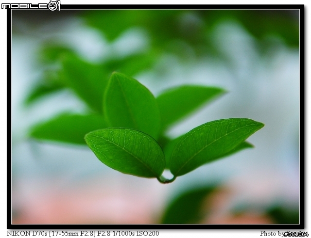 AF-S DX 17-55mm f/2.8G IF ED開箱