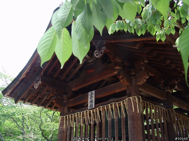 [京都]青綠之日吉大社