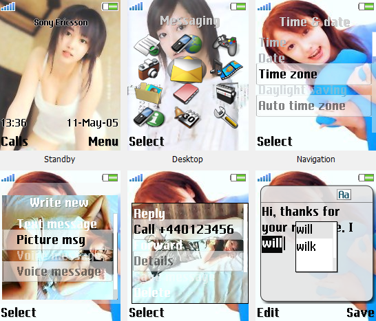 [W810i/K750i/K610i]澤尻英龍華    主題