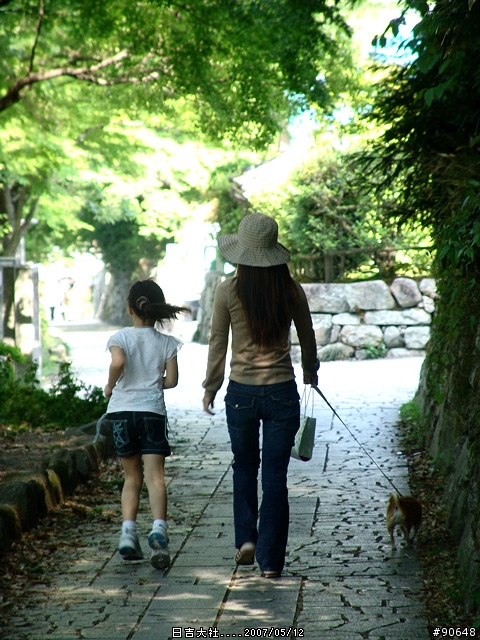 [京都]青綠之日吉大社