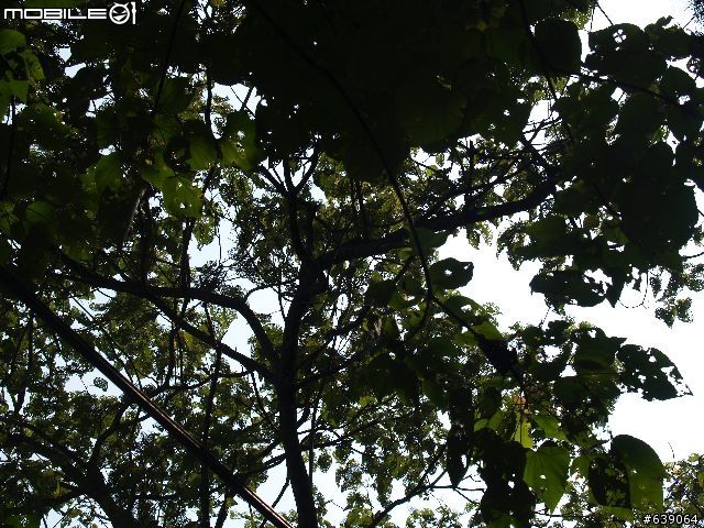 [旅程分享] 烏來內洞遊樂區探險(圖多請注意)
