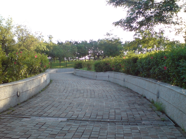 【台中都會公園】７／２１大熱天一個人的BIKE DAY