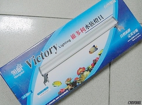 [水族]想養魚嗎? 菜鳥新手入門-器材篇.