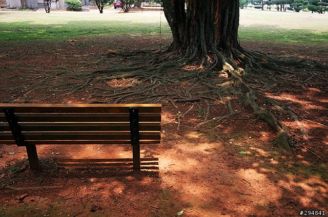 中央大學試鏡
