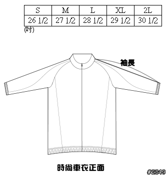 [閒聊]-彰化星光八卦團專屬車衣提案(請轉回復另一篇置頂文)
