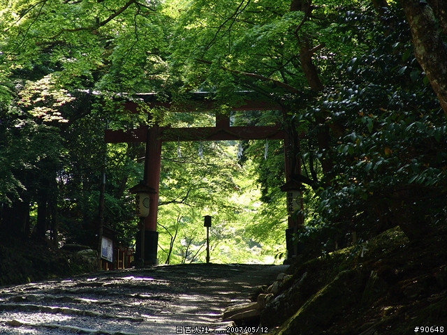 [京都]青綠之日吉大社