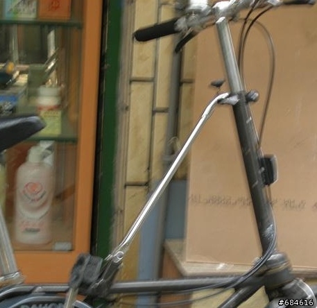 看到古老的dahon