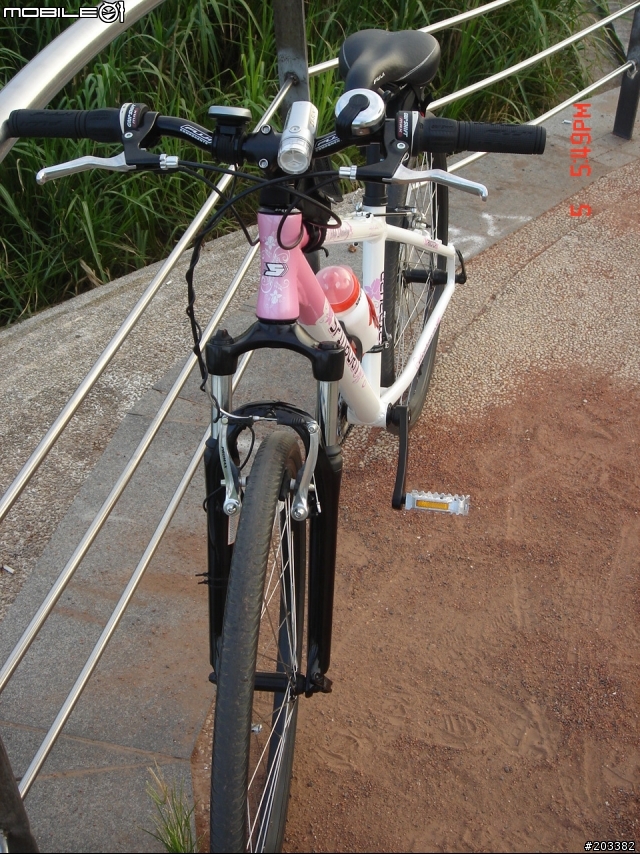 被念了三個月,終於買車了 BMC Team Elite 02