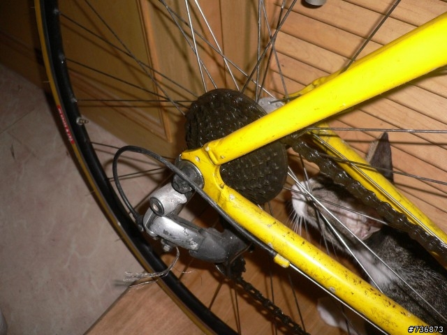 老公路車怎麼整理？