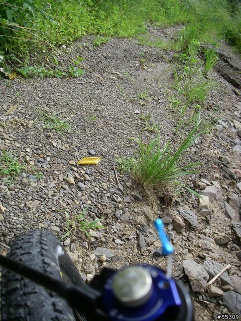 和平部落環繞路線