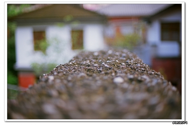 (分享)我愛135相機 NIKON FM2+50mm f1.4 + 24mm F2.8