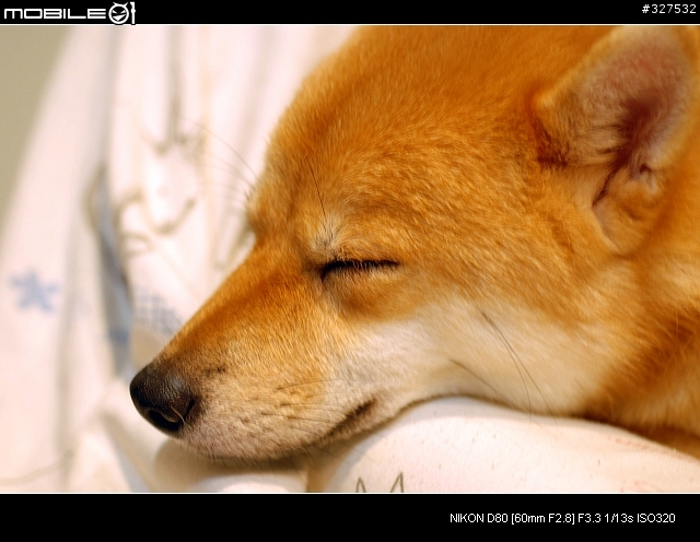 [D80長期分享][2007.08.13更新]新手分享購入及使用心得