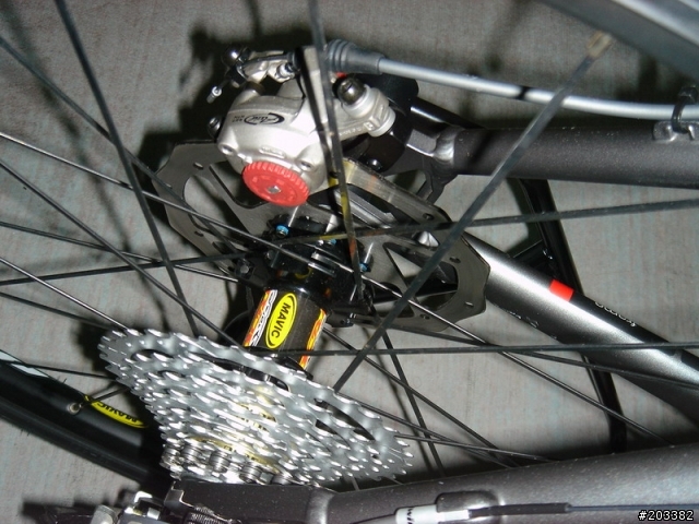 被念了三個月,終於買車了 BMC Team Elite 02