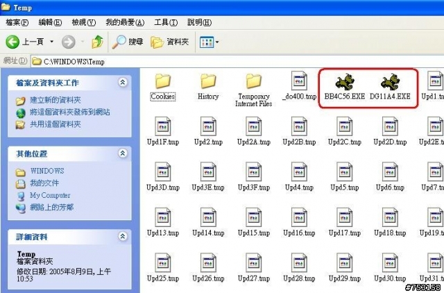 這個是病毒嗎？