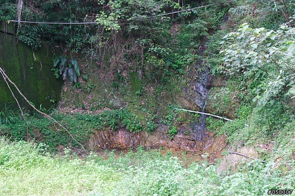 埔里：貓頭山登山步道