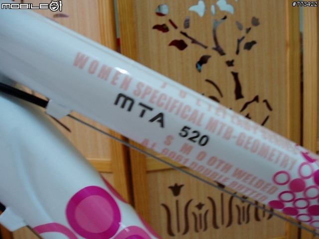 【新手上路/拍照】我的孔明車：520 Lady MTA Level